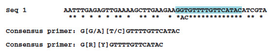 Sequence showing alignment consensus Sequence showing alignment consensus