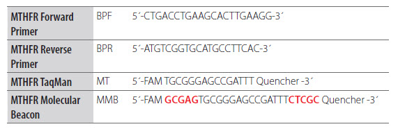 Adaptation of a Dual-Labeled Probe Assay to a Molecular Beacon Adaptation of a Dual-Labeled Probe Assay to a Molecular Beacon