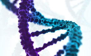 DNA oligo double helix