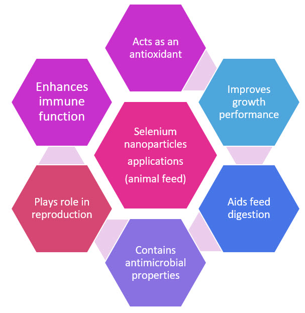 Applications of SeNPs in animal feeds Applications of selenium nanoparticles in animal feeds