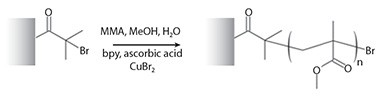 Polymerization of methyl methacrylate from a surface. Polymerization of methyl methacrylate from a surface.