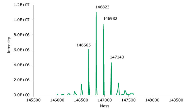 Deconvoluted mass spectrum of non-reduced SigmaMAb reference Deconvoluted mass spectrum of non-reduced SigmaMAb reference