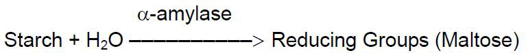 Alpha-Amylase Alpha-Amylase