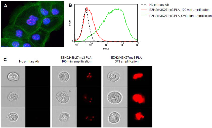 Flow Cytometry Analysis Flow Cytometry Analysis