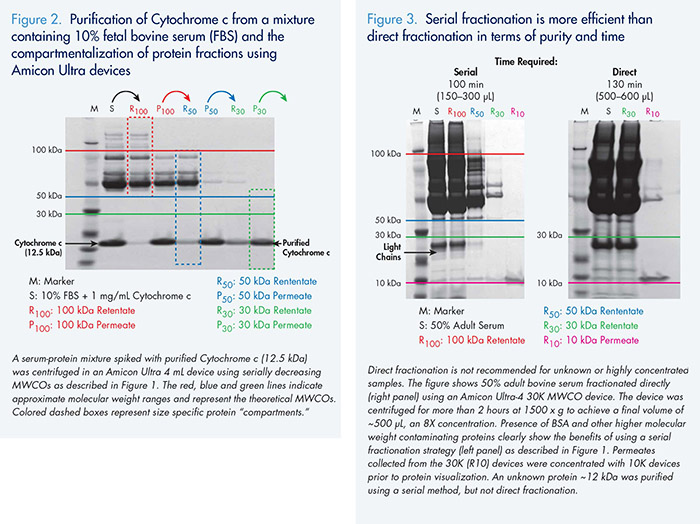 serial-enrichment-fig2-fig3 逐级富集