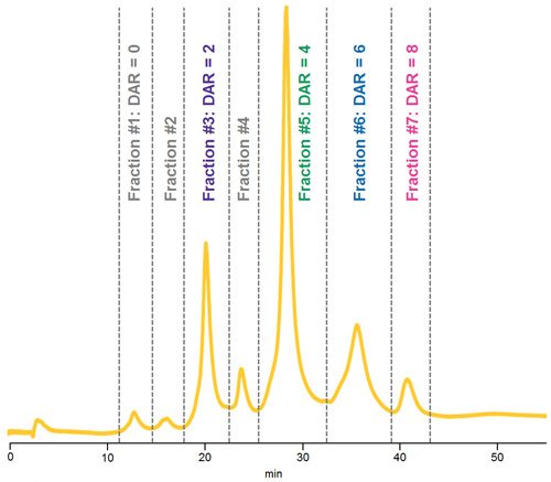 HIC separation of native ADC Mimic demonstrating fractions collected for LC-UV-MS analysis HIC separation of native ADC Mimic demonstrating fractions collected for LC-UV-MS analysis