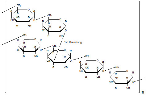 Specific Rotation Specific Rotation