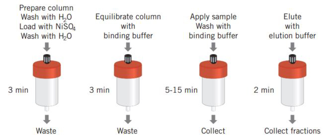 HiTrap® Chelating HP and a schematic overview of poly (His) fusion protein purification HiTrap® Chelating HP and a schematic overview of poly (His) fusion protein purification