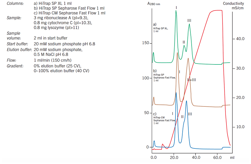 Media scouting: separation of ribonuclease A Media scouting: separation of ribonuclease A