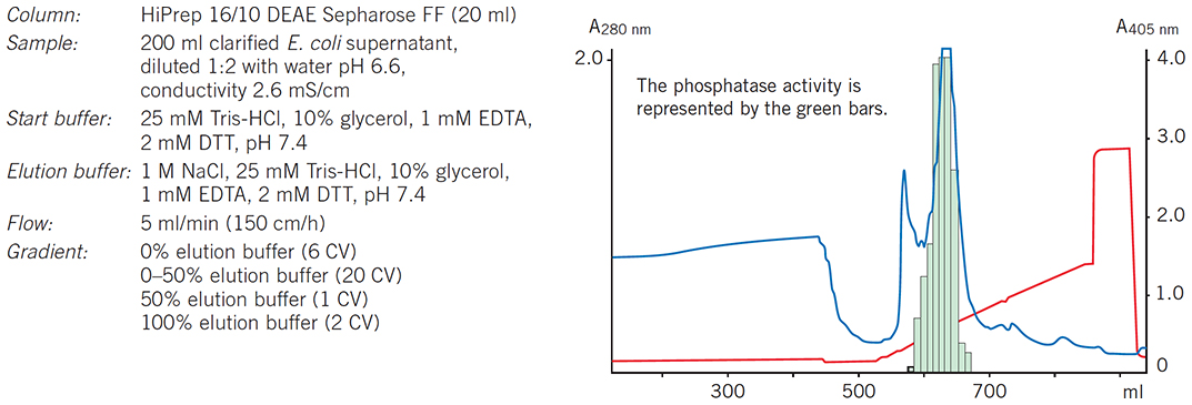 A HiPrep 16/10 DEAE Sepharose Fast Flow column is used as the capture step to concentrate rPhosphatase and remove most of the contaminants A HiPrep 16/10 DEAE Sepharose Fast Flow column is used as the capture step to concentrate rPhosphatase and remove most of the contaminants