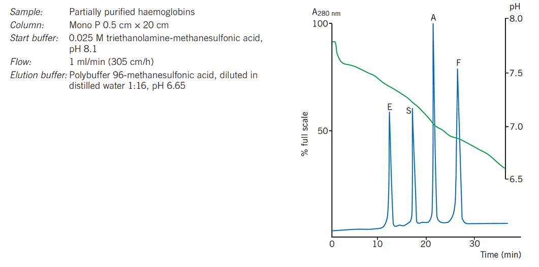Chromatofocusing of haemoglobin variants Chromatofocusing of haemoglobin variants