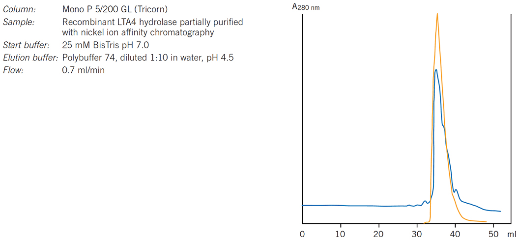 Purification of leukotriene A4 hydrolase. Results courtesy of Eva Ohlson, Karolinska Institutet, Stockholm, Sweden Purification of leukotriene A4 hydrolase. Results courtesy of Eva Ohlson, Karolinska Institutet, Stockholm, Sweden