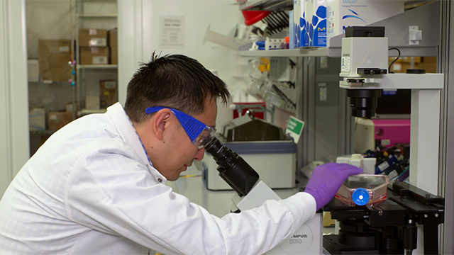 How to Perform Routine Monitoring of Healthy Cells How to Perform Routine Monitoring of Healthy Cells