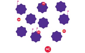 Interrogation of Protein Pathways: Inhibition A diagram representing protein pathway inhibition as an example of interrogation of protein pathways which involves chemical screening and treatment, looking at protein activity/enzyme activity, and protein pathway modulation.