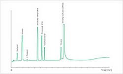 GC Analysis GC Analysis