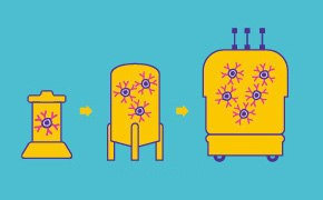 Bioreactor (Fed Batched or Perfusion Mode)