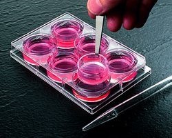 Cell culture inserts