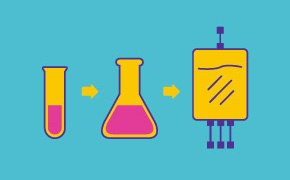 Expansion & Cryopreservation