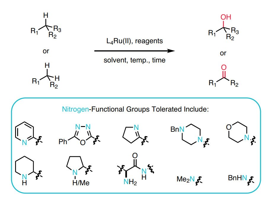 Undirected C–H Hydroxylation Amine Tolerant Undirected C–H Hydroxylation