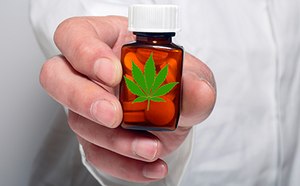 Cannabinoids analysis in cannabis and hemp using HPLC and GC techniques