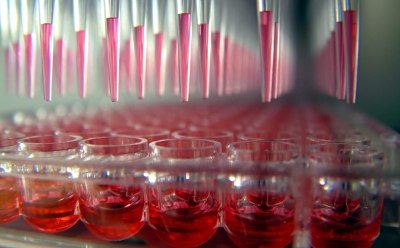 具备阵列或混合文库的功能基因组学筛选