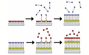 schematic-process-of-sequential-reactions.jpg