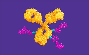 Antibody-drug conjugation (ADC) services
