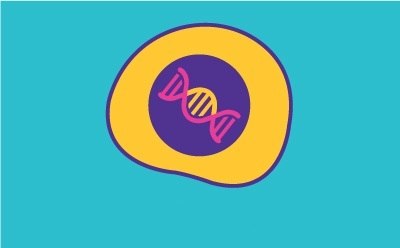 Cell Line Development Upstream cell line processes