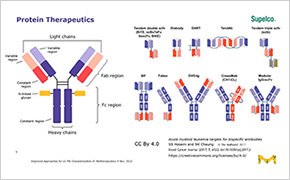 生物治疗药物完整和中期 LC-MS 表征的改进方法 网络研讨会上的染色体幻灯片