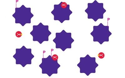 Interrogation of Protein Pathways: Inhibition A diagram representing protein pathway inhibition as an example of interrogation of protein pathways which involves chemical screening and treatment, looking at protein activity/enzyme activity, and protein pathway modulation.