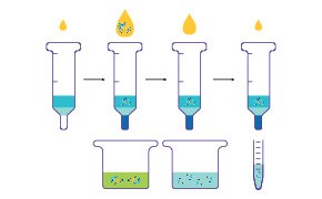 Protein Affinity Chromatography