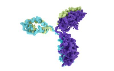 mAbs (Monoclonal antibodies)