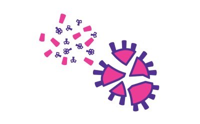 Traditional vaccines