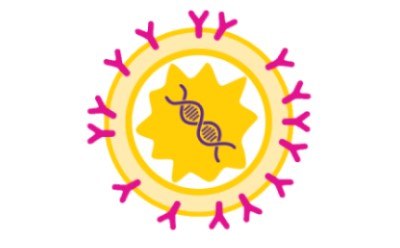 Viral and gene therapies