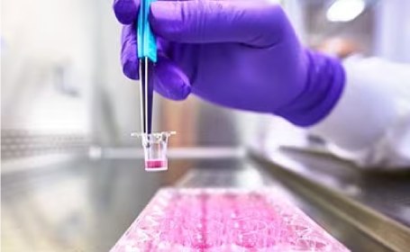 Millicell® hanging inserts Scientist using Millicell® hanging cell culture inserts