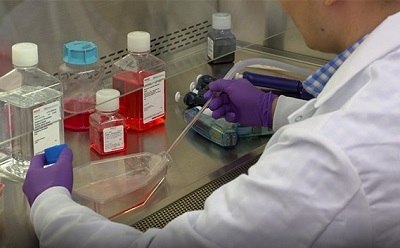 Performing Cell Culture