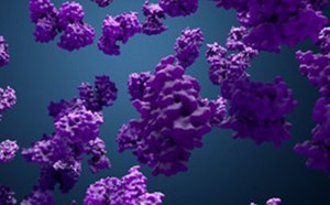 Protein Extract Proteins in solution