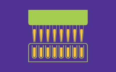 Discovery phase of crop improvement Discovery phase of crop improvement