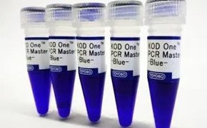 KOD one™ PCR master mix KOD One™ PCR Master Mix