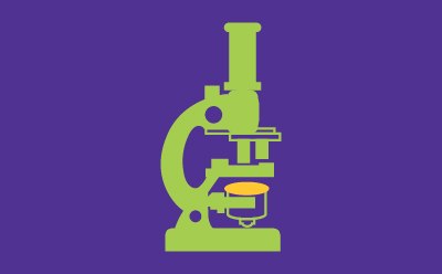 Validation phase of crop improvement Validation phase of crop improvement