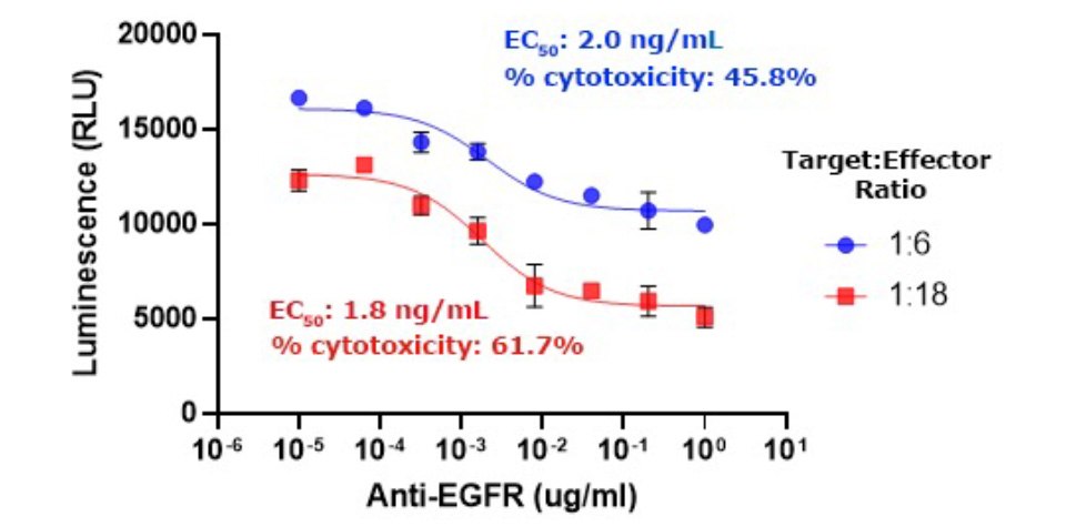 ADCC assay using A549 target cells expressing a luciferase reporter gene, frozen BioIVT NK effector cells, and anti-EGFR antibody. A luciferase assay was used to measure target cell killing. ADCC assay using A549 target cells expressing a luciferase reporter gene, frozen BioIVT NK effector cells, and anti-EGFR antibody. A luciferase assay was used to measure target cell killing.