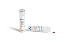 Vitroids™ and LENTICULE® disc outside the vial Vitroids™ and LENTICULE® disc is present outside the vial on the right and inside the screw cap seal on the left side