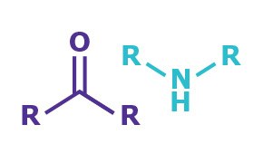 Starting Material: Aldehyde/Ketone or Amine Starting Material: Aldehyde/Ketone or Amine
