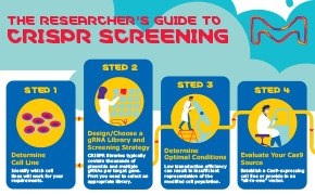 下载CRISPR筛选信息图