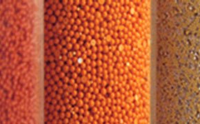 填充特定色谱应用专用填料的LPLC填充柱