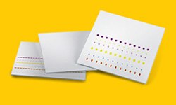 TLC silica gel plates TLC板上分离良好的斑点/谱带及其质谱分析