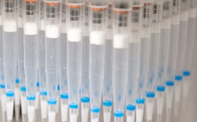 HybridSPE® DPX tips provides an INTip solution for complete sample preparation.