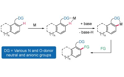 C–H Activation Catalysts A schematic representation of a chemical reaction sequence involving a molecule with a directing group (DG) and a functional group (FG).
