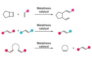 Olefin Metathesis Three examples of chemical reactions facilitated by a metathesis catalyst. Each reaction sequence shows the transformation of initial reactants into products using simple molecular diagrams.