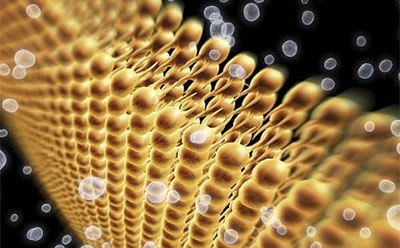 Abstract representation of lipids forming a patterned structure with spherical shapes in shades of yellow and orange, against a dark background with out-of-focus white light spots suggesting a microscopic or molecular view. Abstract representation of lipids forming a patterned structure with spherical shapes in shades of yellow and orange, against a dark background with out-of-focus white light spots suggesting a microscopic or molecular view.